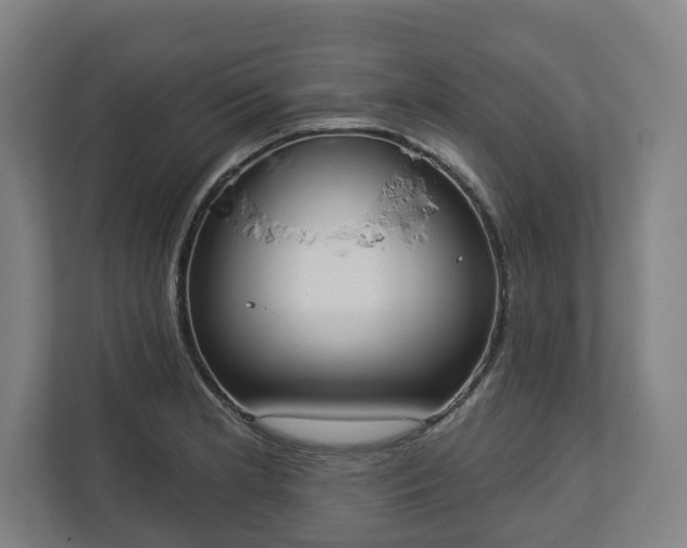 X0000113101181200909041220
