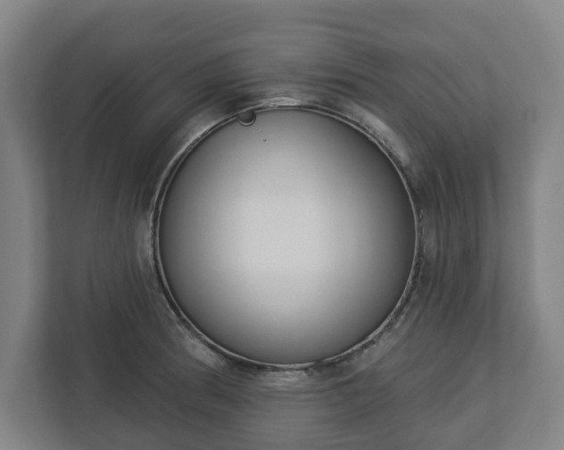 X0000113101186200909041220