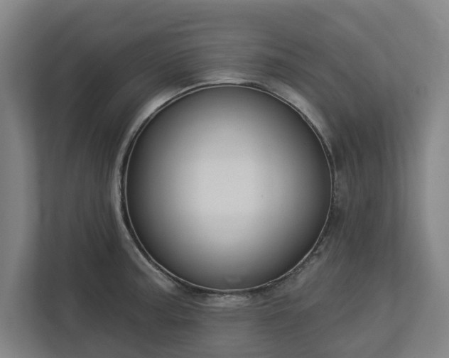 X0000113101187200909041220