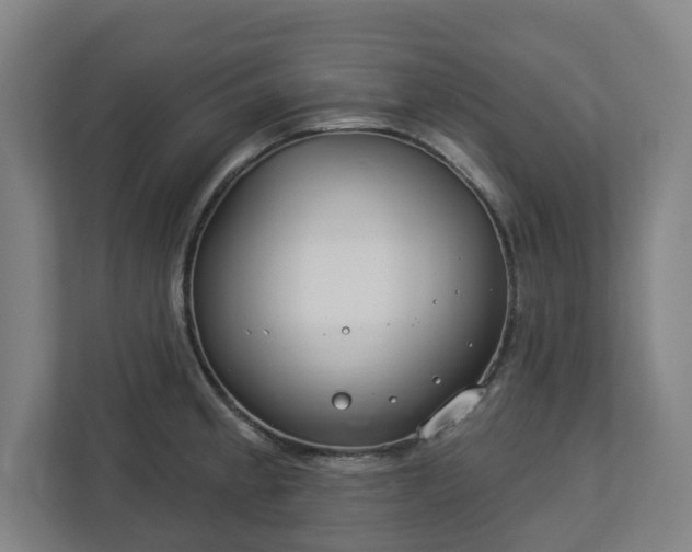 X0000113101189200909041220