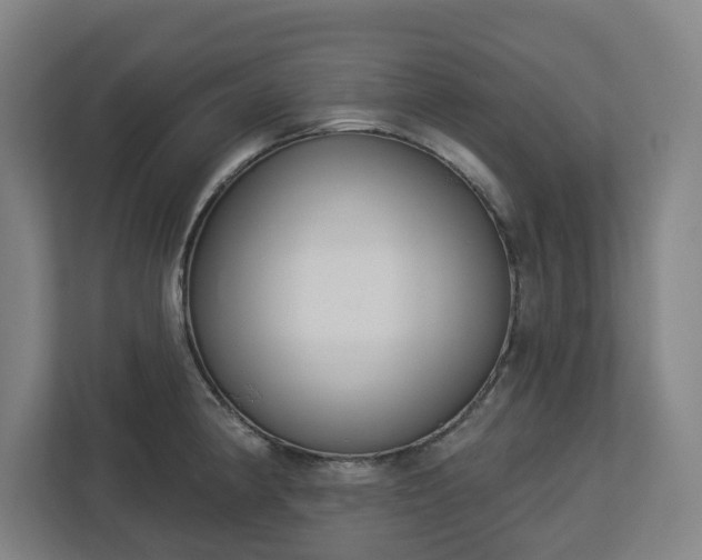 X0000113101190200909041220