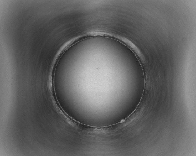 X0000113101191200909041220