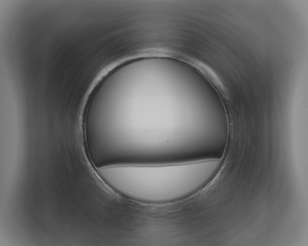 X0000113101192200909041220