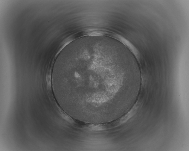 X0000113101194200909041220