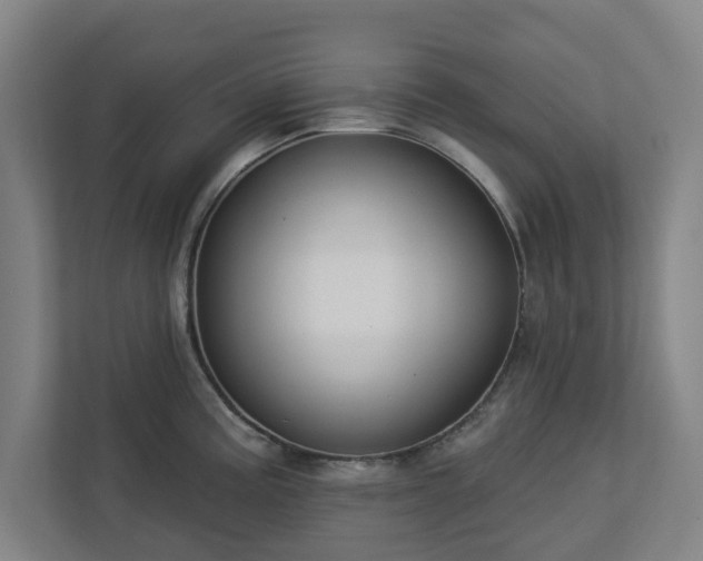 X0000113101195200909041220