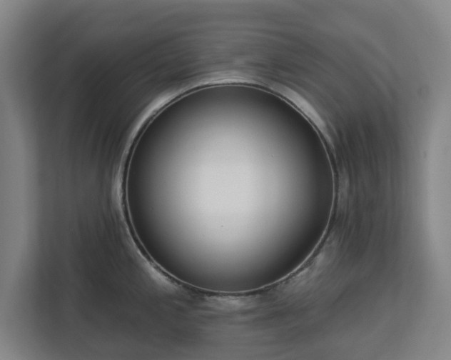 X0000113101197200909041220