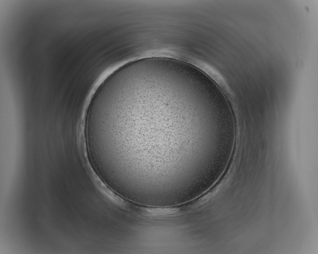 X0000113101200200909041220