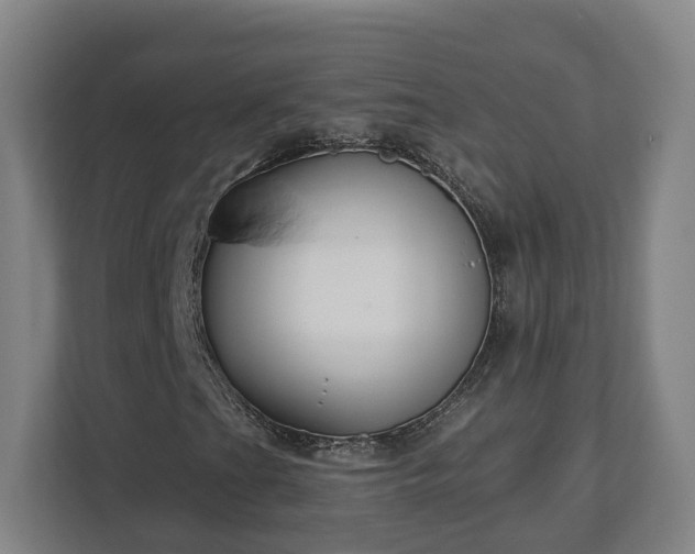X0000113101201200909041219