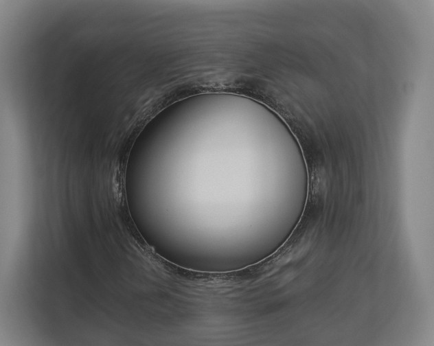 X0000113101202200909041219