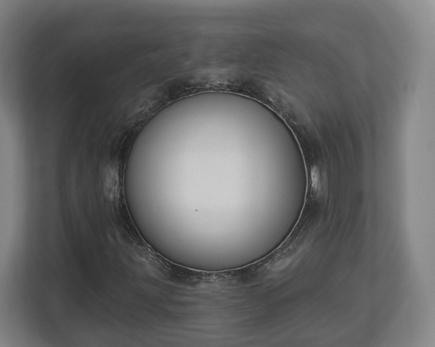 X0000113101203200909041219