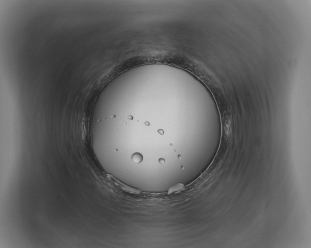 X0000113101204200909041219