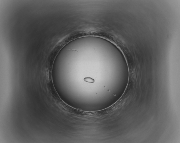 X0000113101205200909041219