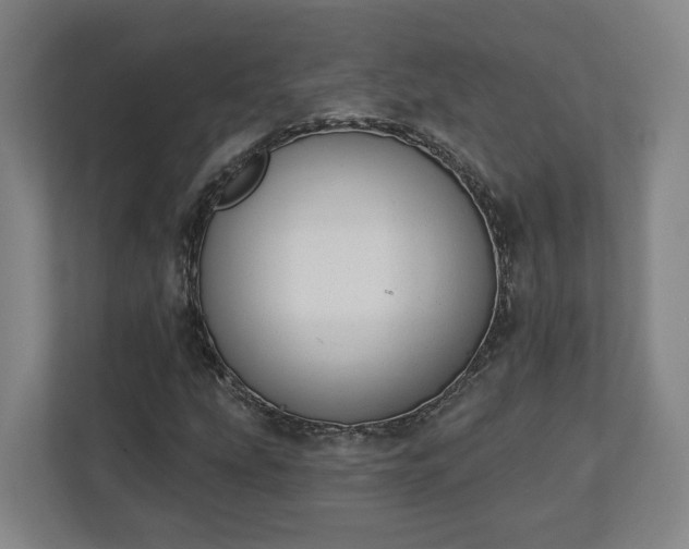 X0000113101207200909041219