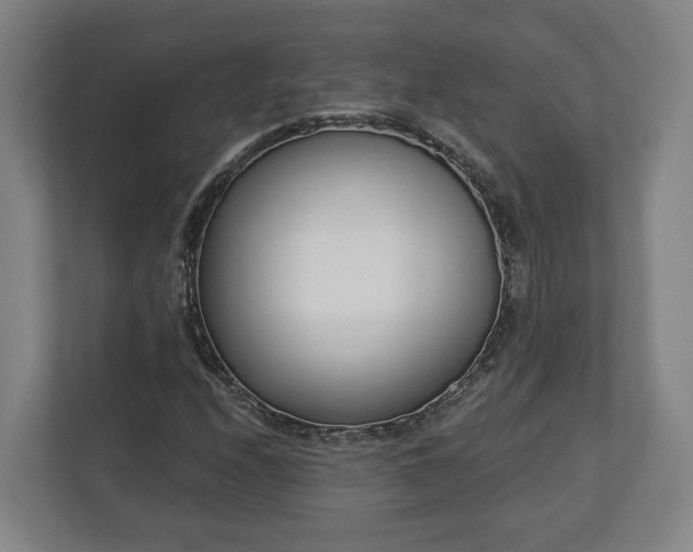 X0000113101208200909041219