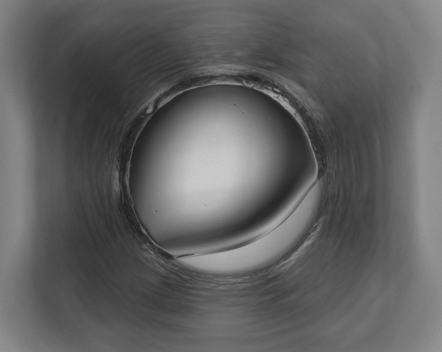 X0000113101209200909041219