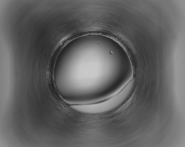 X0000113101210200909041219