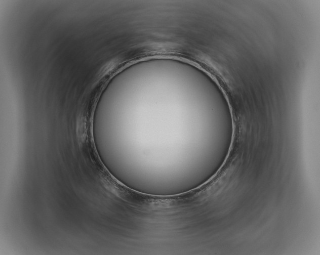 X0000113101211200909041219