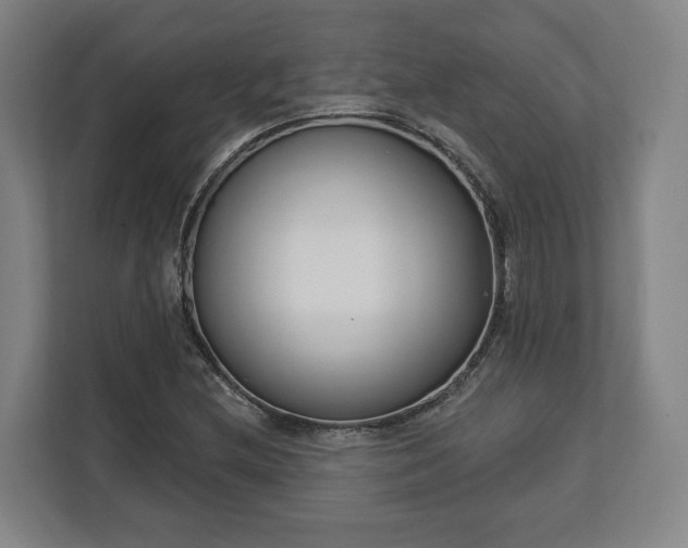 X0000113101212200909041219