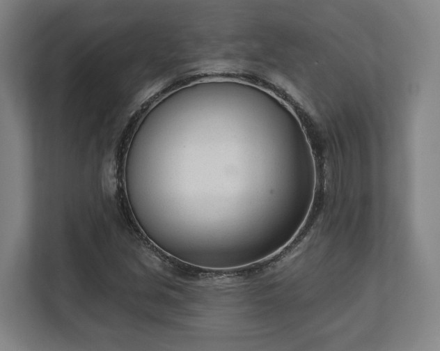 X0000113101213200909041219