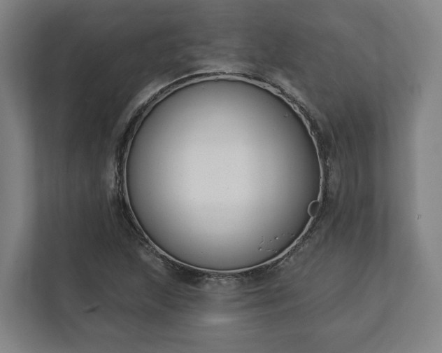 X0000113101215200909041219