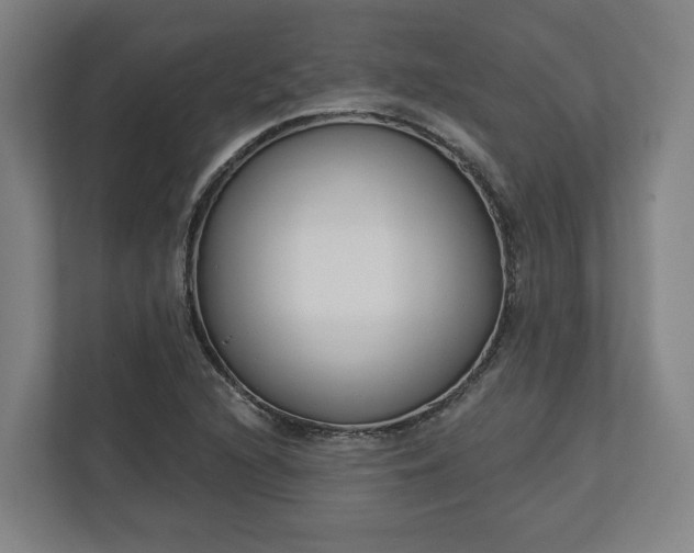 X0000113101216200909041219