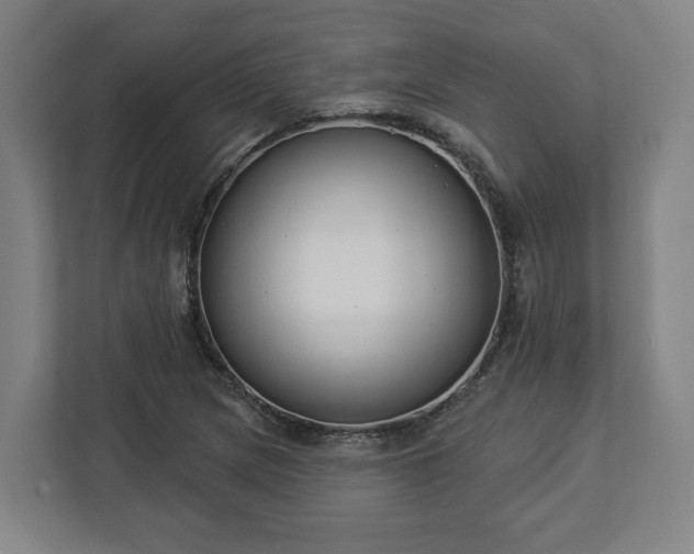 X0000113101217200909041219