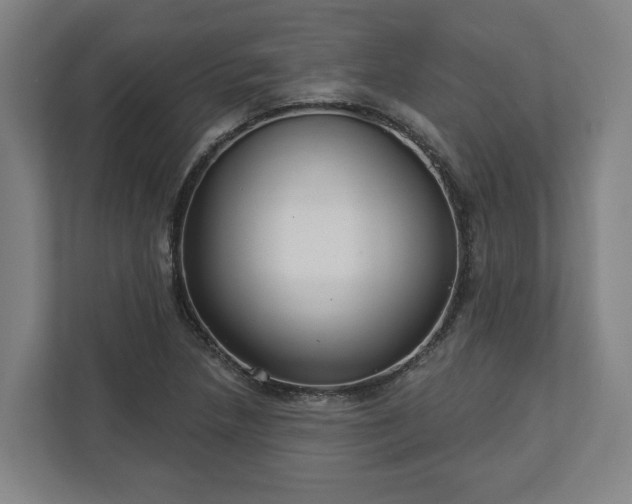 X0000113101218200909041219