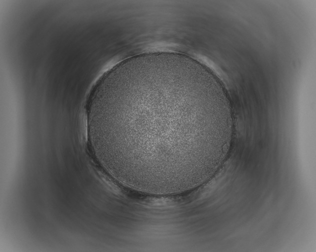 X0000113101219200909041219