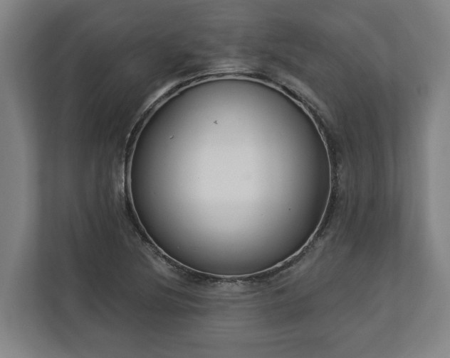 X0000113101220200909041219