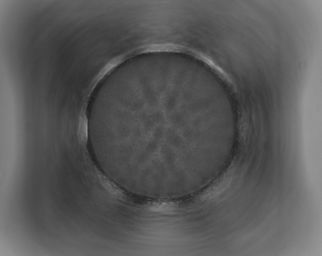 X0000113101221200909041219