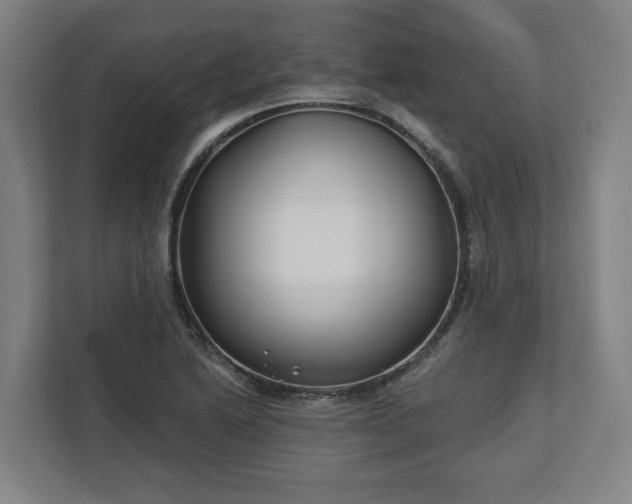 X0000113101222200909041219