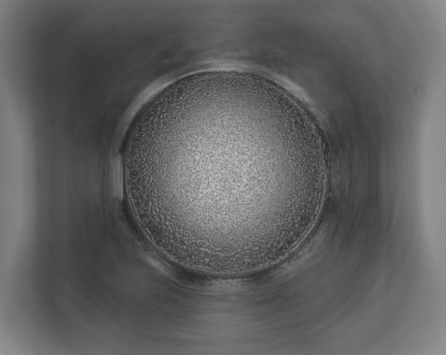 X0000113101223200909041219