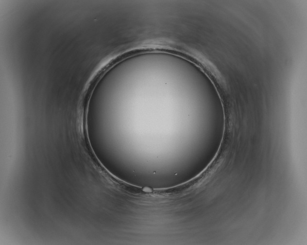 X0000113101224200909041219