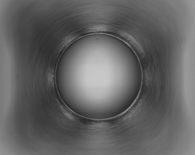 X0000113101225200909041219