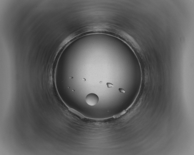 X0000113101226200909041219