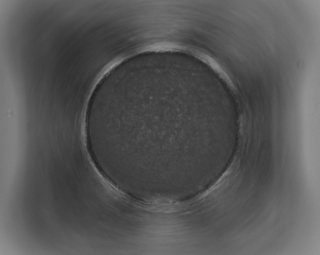 X0000113101229200909041219