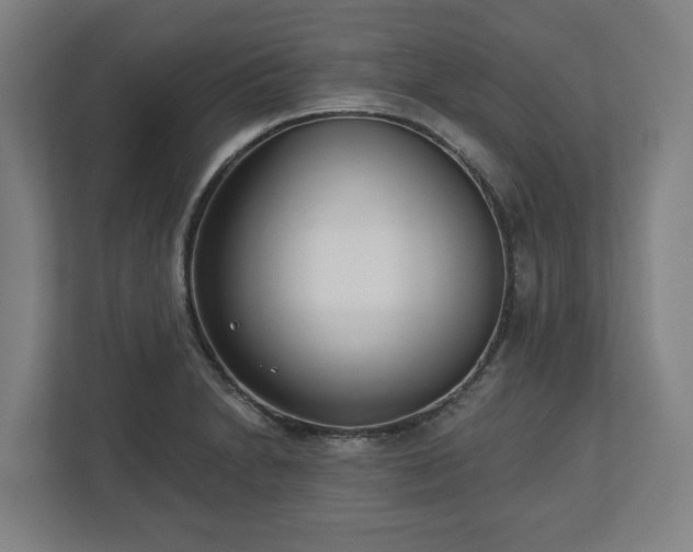 X0000113101230200909041219