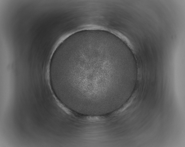 X0000113101231200909041219