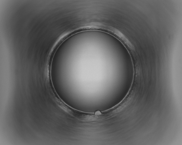 X0000113101232200909041219