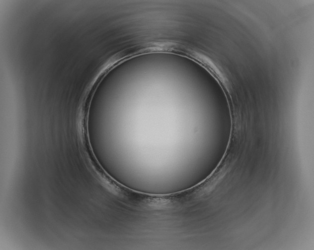 X0000113101235200909041219