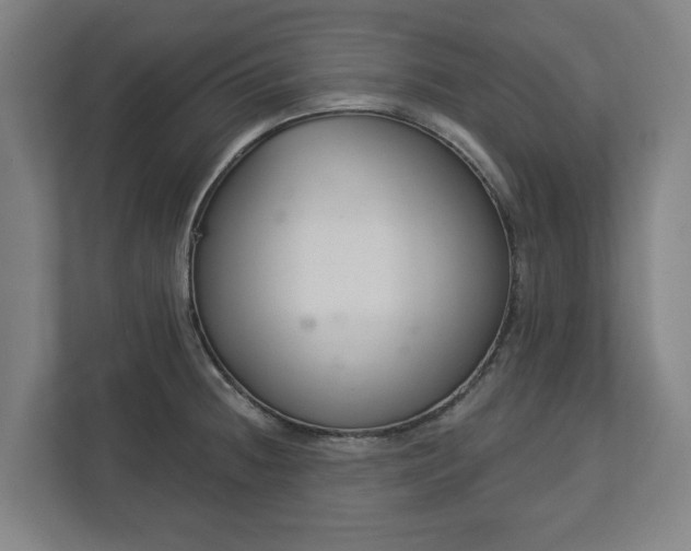 X0000113101236200909041219
