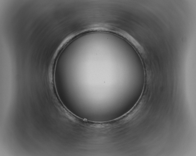X0000113101240200909041220