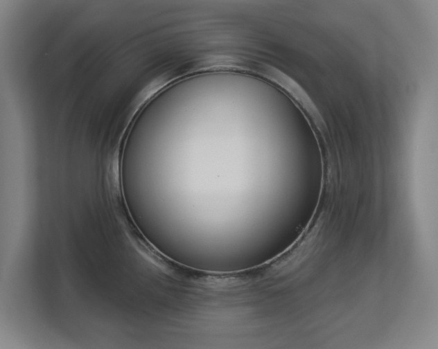 X0000113101242200909041220