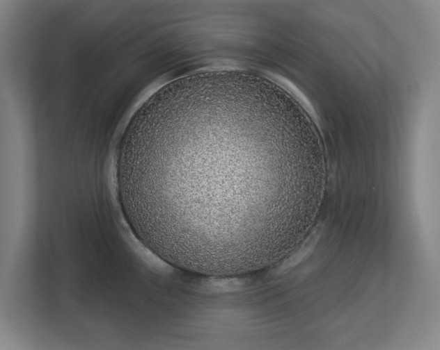 X0000113101243200909041220