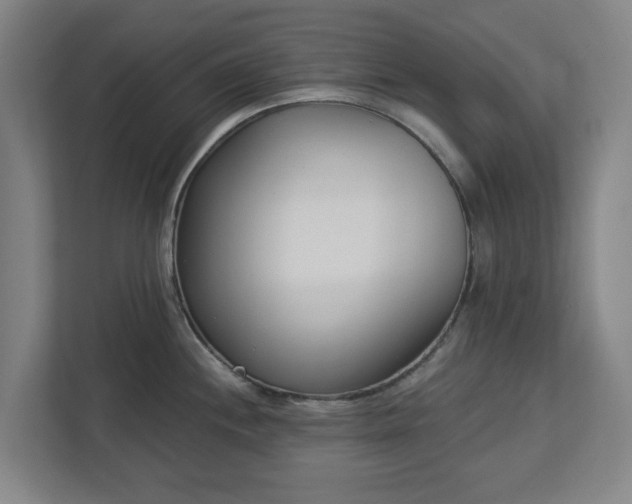 X0000113101244200909041220