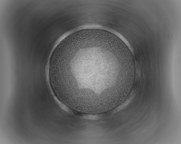X0000113101245200909041220