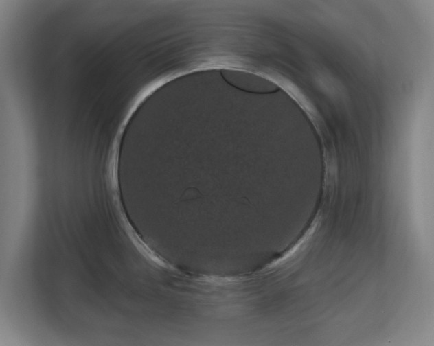 X0000113101246200909041220