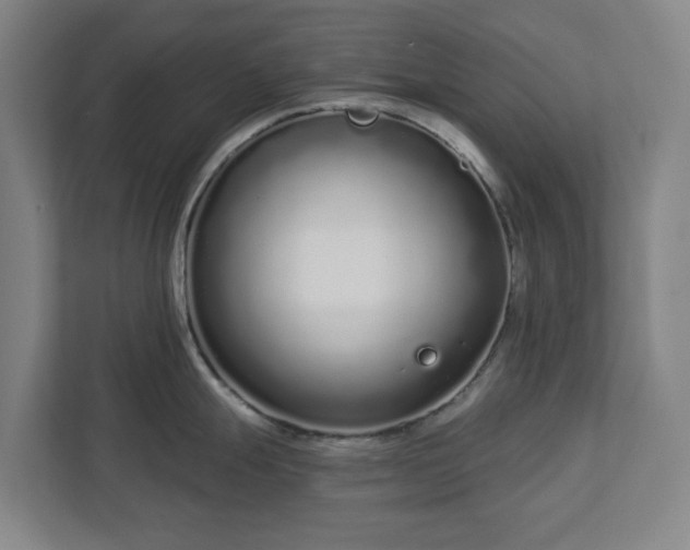 X0000113101247200909041220