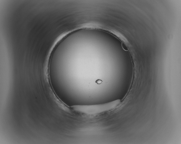 X0000113101248200909041220
