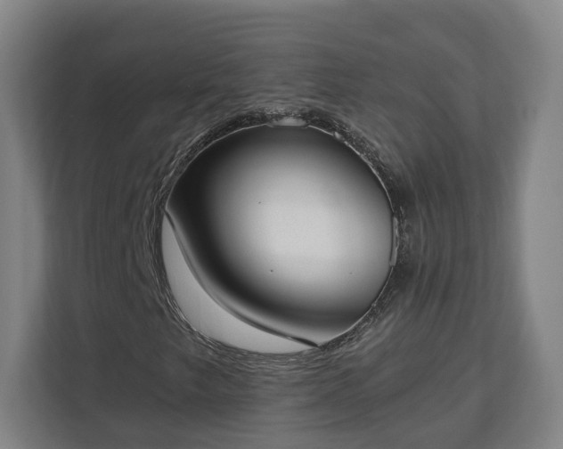 X0000113101249200909041219